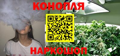 спиды Обь